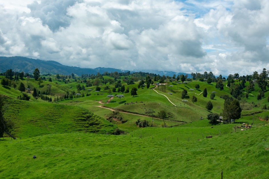 Filandia, Quindío